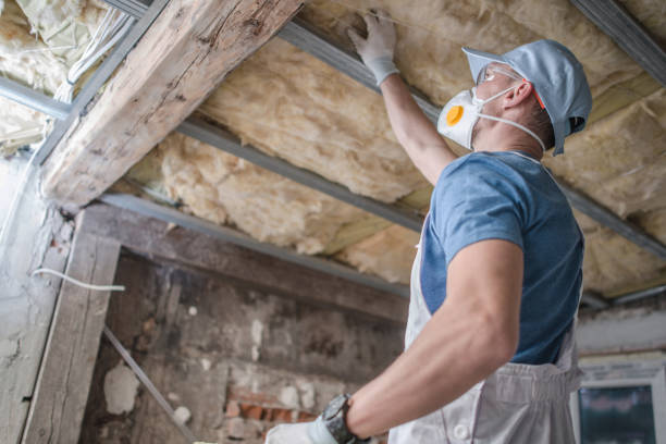 Best Insulation Installation Services in Colony Rk, PA