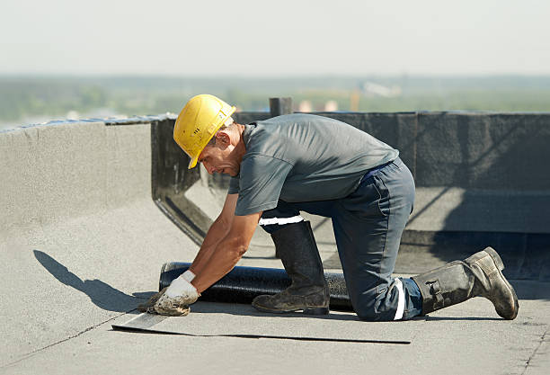 Best Specialty Insulation in Colony Rk, PA